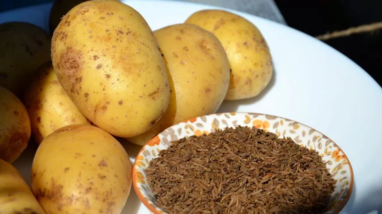 Brambory na talíři s kořením