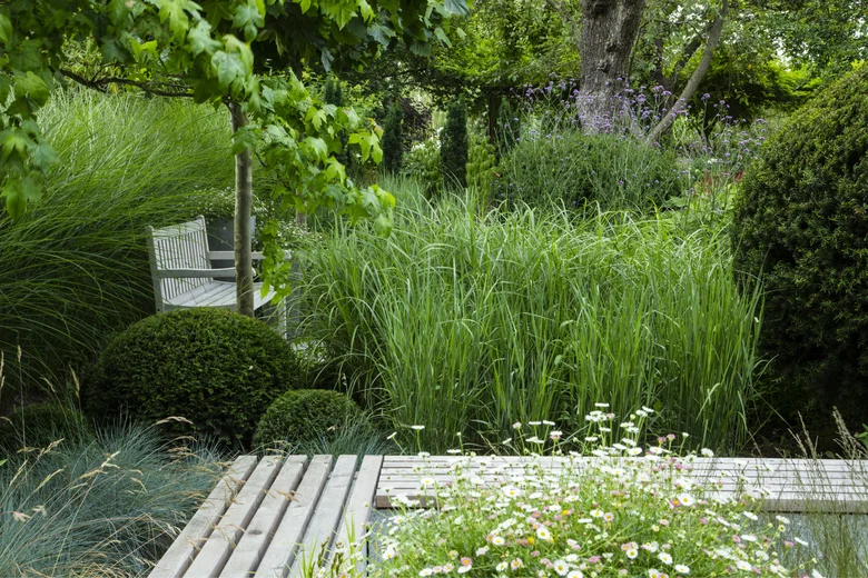 Kombinace okrasných tráv s keři a květinami