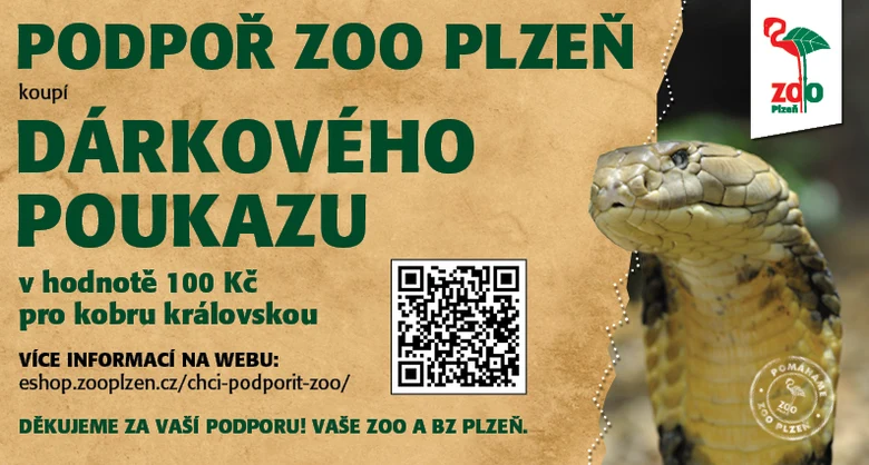 Podpora chovu kobry královské v zoo Plzeň