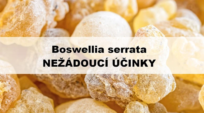 Boswellia serrata, nežádoucí účinky