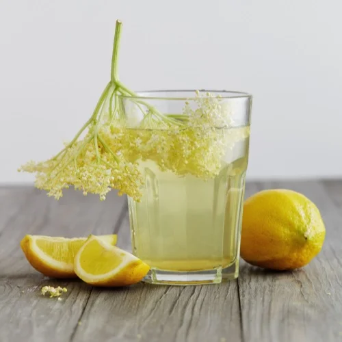 Hotová bezová limonáda s citronem a květy bezu