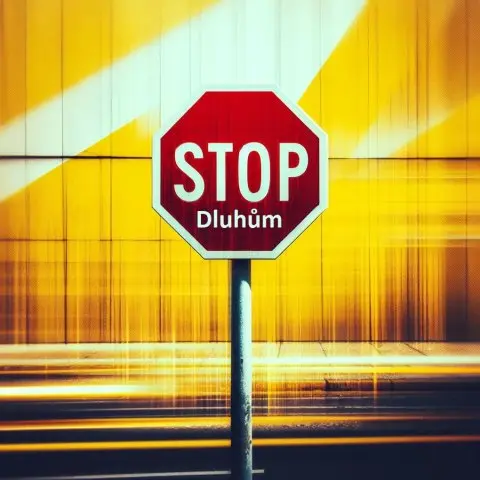 Zastavte se před dluhem – zastavit dluhy