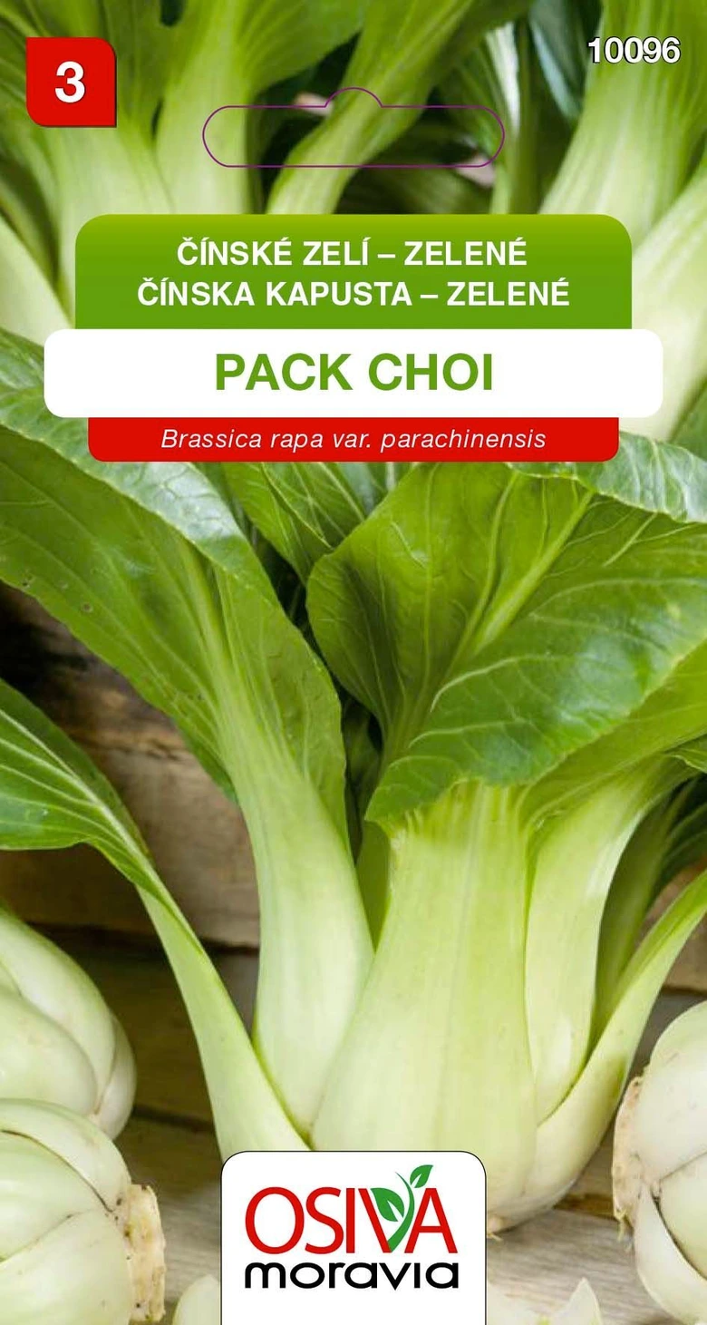 Zelené čínské zelí – pak choi