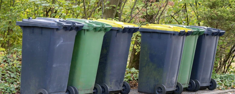 Řada barevných popelnic venku u stromů