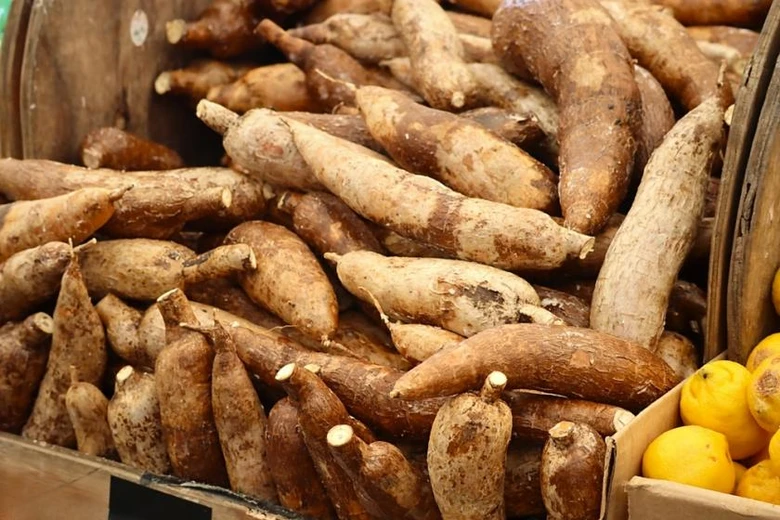 Surový maniok v dřevěném koši vedle citronů.