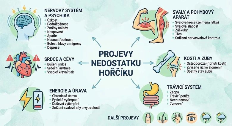 Infografika o příznacích nedostatku hořčíku v těle