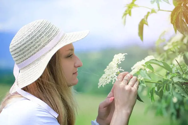 Žena v klobouku vůni bezových květů