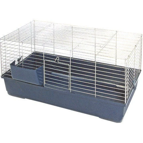 Klíček beránek v kleci pro chov.