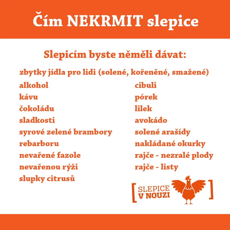 Jedovaté potraviny pro slepice – seznam
