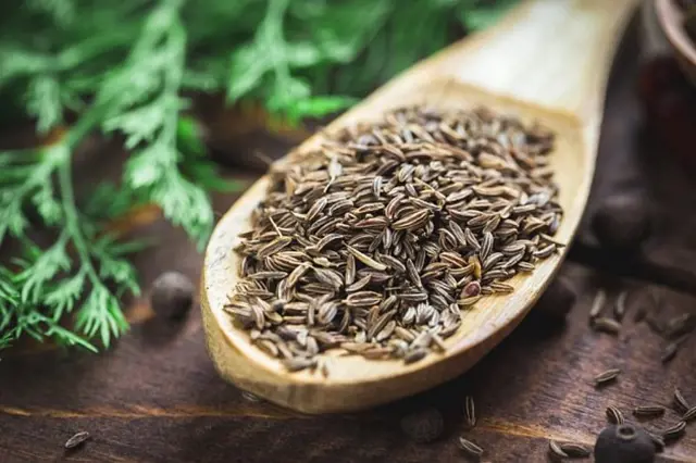 Kmínové semínka v dřevěné lžičce pro recept