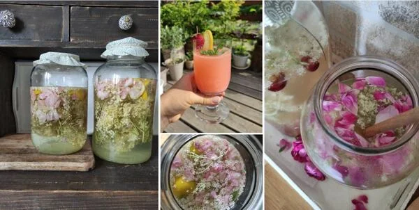 Domácí bezová limonada s květy v sklenicích