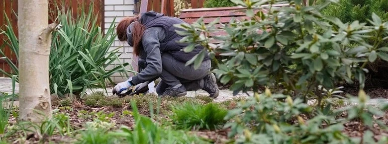 Žena se zahradní prací v jarním zahradě