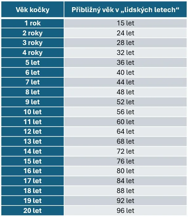 Tabulka převodu věku kočky na lidské roky