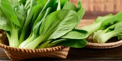 Zelený salát pak choi v košíku