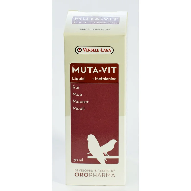 Doplňky pro ptáky, včetně korely chocholaté.
