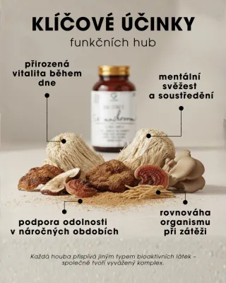 Funkční houby pro energii a motivaci