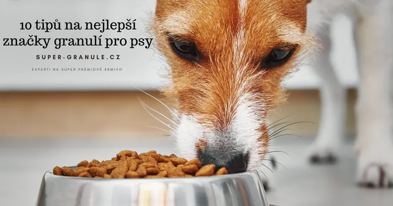 Pes jí granulky z misky s českým nápisem o kvalitním krmivu.