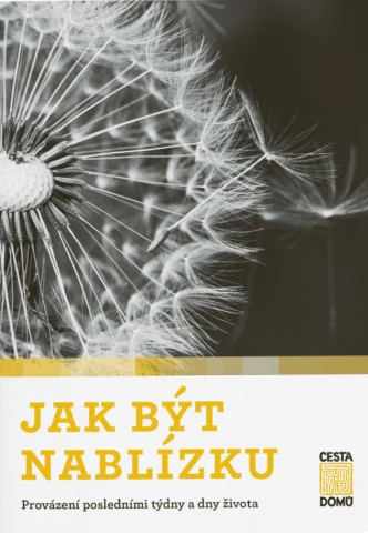 Bílá fotografie pampelišky s nasazenými semínky na tmavém pozadí.