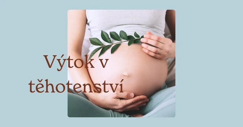 Těhotná žena drží ruce na břiše s větvičkou listů.