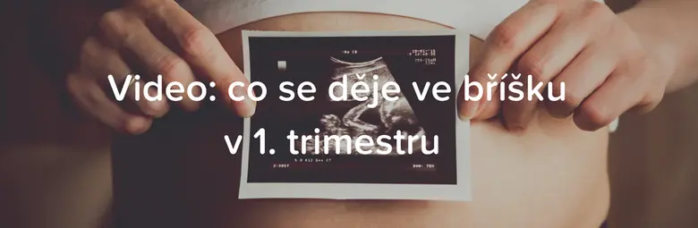 Ruce drží ultrazvukový snímek na břiše těhotné ženy.