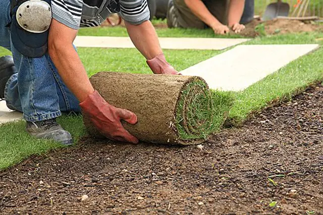 Muž rozkládá roli trávníku na připravenou půdu.