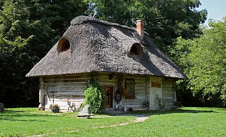 Tradiční dřevěný domek s doškovou střechou v přírodě