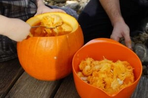 Lidé vydlabávají dýni a odstraňují semena do misky.