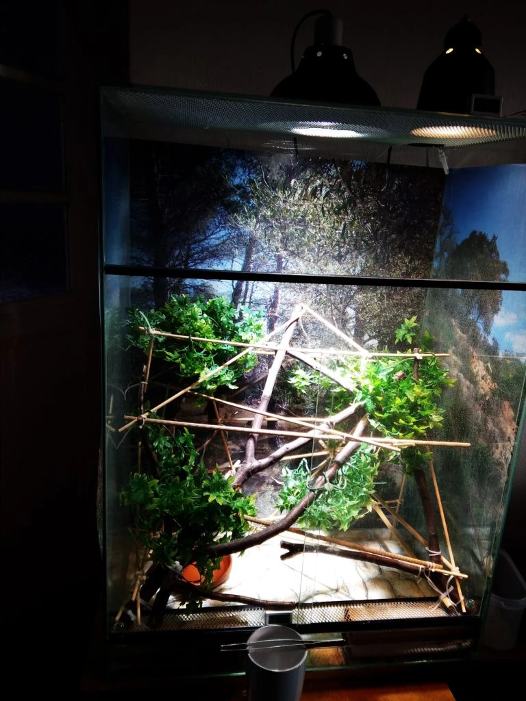 Akvarium pro chameleona s větvemi a umělou vegetací.