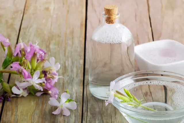 Růžové květy mydlice s olejem v skleničce na dřevěném povrchu