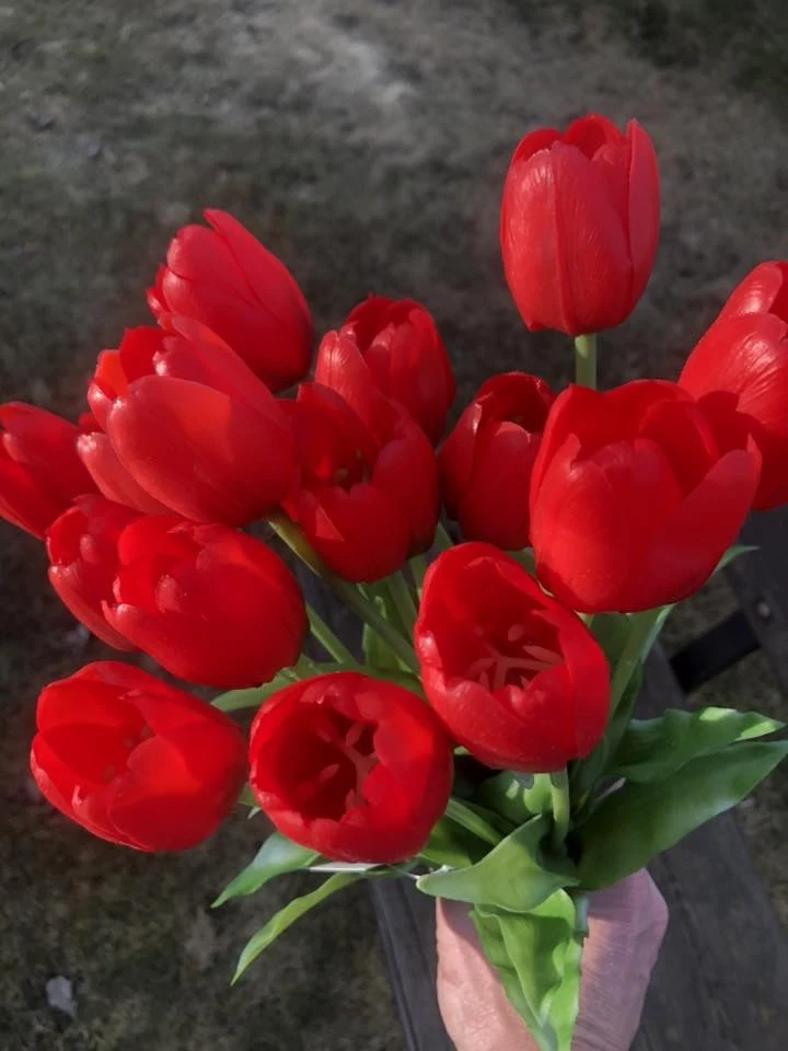 Ručník s červenými tulipány v ruce na venkovním pozadí.