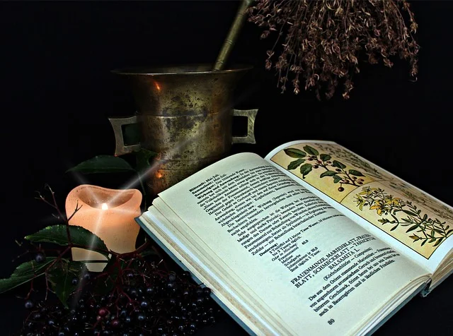 Otevřená kniha o bylinách s mrtvým hřebenem a suchými květy.