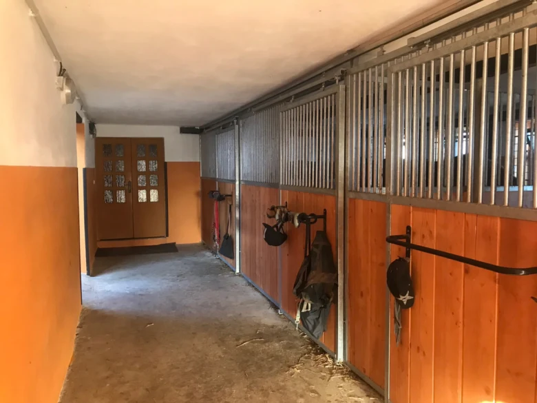 Chodba v konínském boxu s dřevěnými stěnami a vybavením.